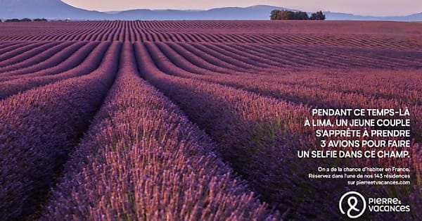 Étude de cas Caféine consulting